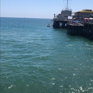 Meet your Posher, Rosie